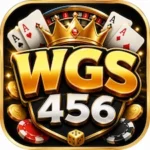 WGS456 Game
