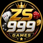 ZS999 Game