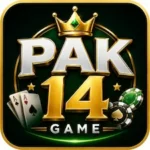 PAK14 Game